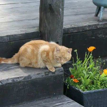 Puhkemaja Сasa de vacaciones *