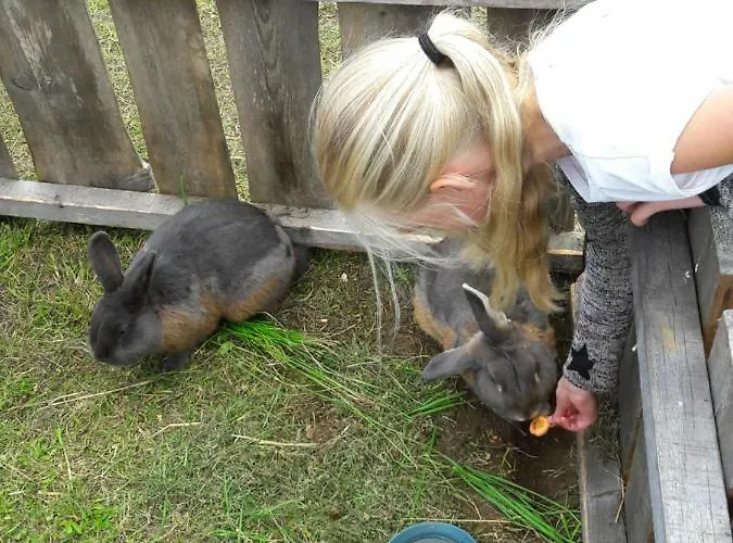 Puhkemaja * Kauksi (Ida-Viru)