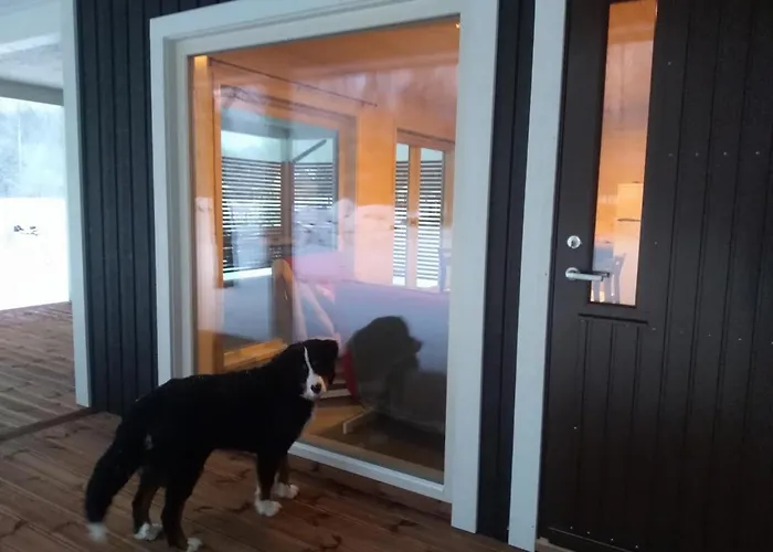 Puhkemaja Dom wakacyjny